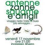 Antenne, zanne, squame e artigli