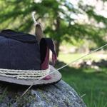 La Bestia Grama