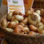 Parchi da gustare! Le ricette