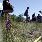NewScuola: Le praterie xerotermiche della Valle di Susa - Scrigno di biodiversità