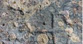 Domenica 6 ottobre Antichi segni a Roure