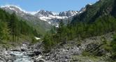 Martedì 23 luglio a Pragelato