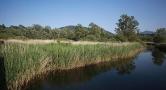 Domenica 22 settembre a Avigliana Tra laghi e palude