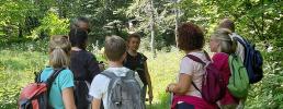 Un successo le escursioni di Ecoturismo Life Wolfalps.eu