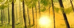 Il canto della foresta: lo spettacolo sulla Selva di Chambons
