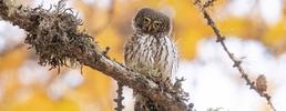 Premiate le foto vincitrici del contest fotografico Ma Muntanha