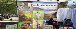 Fiere d'autunno