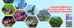 Estate nei Parchi Alpi Cozie