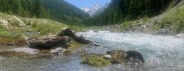 Ripristini fluviali in montagna: a Bardonecchia un convegno sul futuro dei torrenti alpini