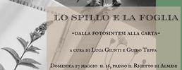 a Almese Herbarium indocile