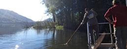 Prelievi e rimozione di pesce siluro nei Laghi di Avigliana: il bilancio del 2025