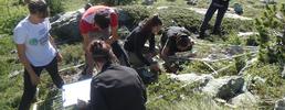 Progetto Gloria: ffetti dei cambiamenti climatici sulla flora di montagna