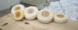 La stagione del formaggio
