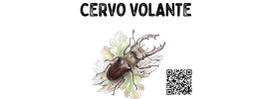 Il monitoraggio del cervo volante