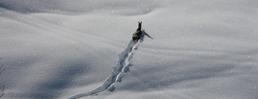 Avviso per scialpinisti e ice-climbers