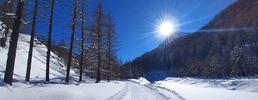 Chiusura strade di fondovalle nel Parco naturale Val Troncea per consentire il regolare svolgimento dell’attività sportiva lungo la pista da fondo