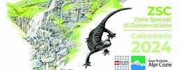 Disponibile il nuovo Calendario 2024 che presenta le ZSC
