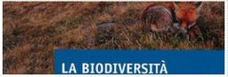 La biodiversità delle praterie alpine nelle Alpi occidentali