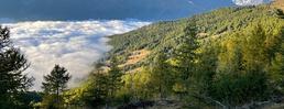 Notizie dagli Sportelli Forestali