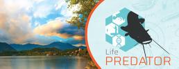 Progetto LIFE Predator: disponibili le proposte didattiche Parchi Alpi Cozie per le scuole