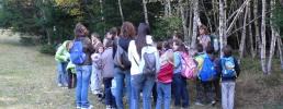 Didattica per le scuole: nuove proposte e collaborazioni
