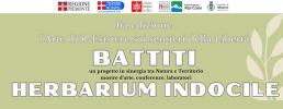 a Almese Herbarium indocile