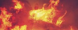 Al fuoco! Al fuoco! Conferenza sugli incendi boschivi