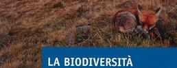 La biodiversità delle praterie alpine nelle Alpi occidentali