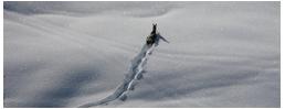 Avviso per scialpinisti e ice-climbers