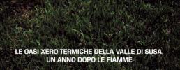 E' on line "Oltre l'incendio"