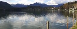 Presenza di schiume algali sul Lago Grande di Avigliana