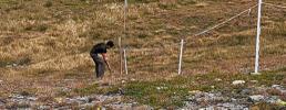 Monitoraggio avifauna nel Parco naturale del Gran Bosco di Salbertrand