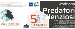 Progetto LIFE Predator: il 5 dicembre workshop "Predatori silenziosi"