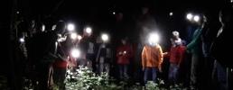 Il tritone vien di notte