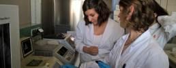 IL TUO 5X1000 PER LA RICERCA SCIENTIFICA DEI PARCHI DELLE ALPI COZIE