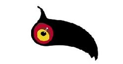 I Parchi Alpi Cozie aderiscono all'International Bearded Vulture Monitoring