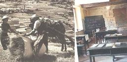Presentato il cahier n.30 dell'Ecomuseo Colombano Romean