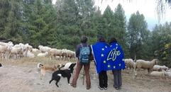 Riparte il Progetto LIFE wolfAlps