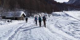 Pragelato: pista di fondo e tracciati per ciaspole aperti 