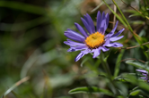 Domenica 16 giugno - Fotoimparando nel Parco - primo appuntamento