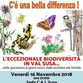 Venerdì 16 novembre - Susa: C'è una bella differenza! 