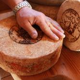 Mercoledì 8 agosto - Pragelato: escursione "L'oro della montagna di oggi, il formaggio"