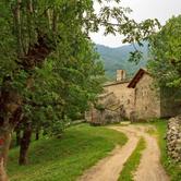Dal 6 agosto al 31 agosto - Certosa di Montebenedetto: mostra "Antiche mura"