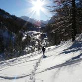 Mercoledì 3 gennaio 2018 - Pragelato Passeggiata tra neve e natura in Val Troncea