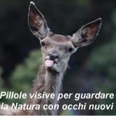 Venerdì 9 novembre - San Didero: Leggere attentamente le avvertenze 