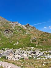 Greening: un'insidia per la biodiversità