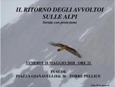 Venerdì 18 maggio a Torre Pellice "Il ritorno degli avvoltoi sulle alpi"