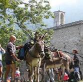 Sabato 6 e Domenica 7 ottobre - Villar Focchiardo: Certose, Zoccoli e Scarponi - Trekking con gli Asini