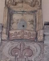 Delfino simbolo di un territorio alpino