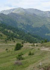 ZSC Col Basset (Sestriere)